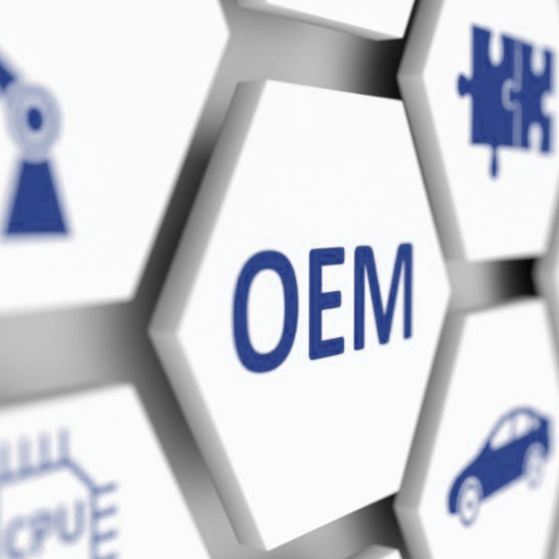 OEM Services